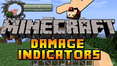 Damage Indicators