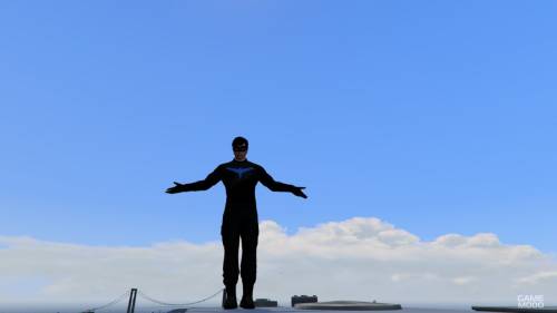 Nightwing Suit
