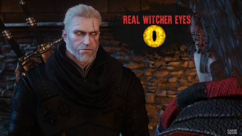 Девять новых глаз для Геральта (Real Witcher Eyes)